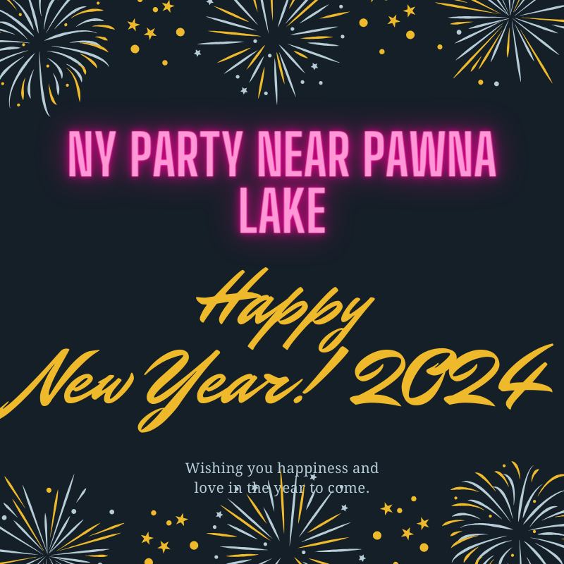 Silver- New Year Party 2024 On Pawna Lake (Lonavala)